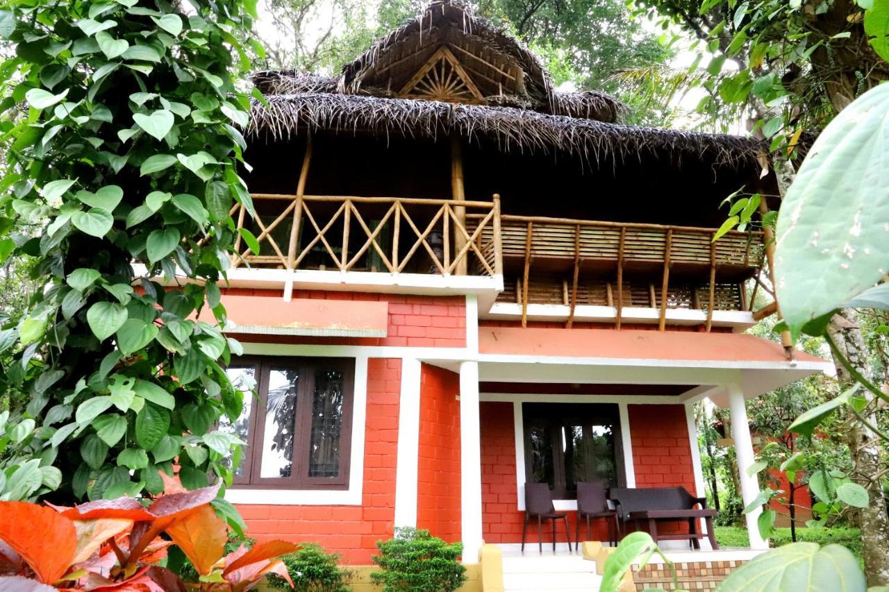 Pepper Green Wayanad Resort With Swimming Pool Kattikkulam Buitenkant foto